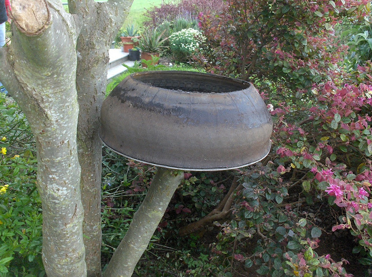 HPIM0554.JPG