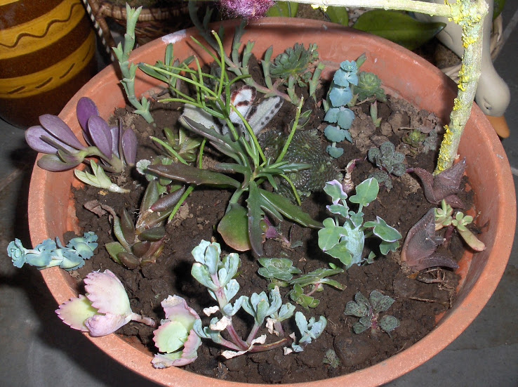 HPIM0576.JPG