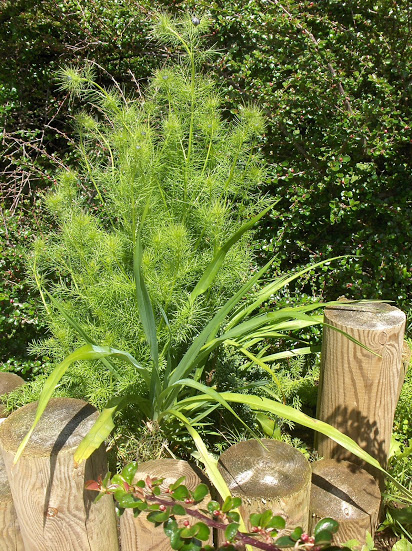 HPIM0586.JPG
