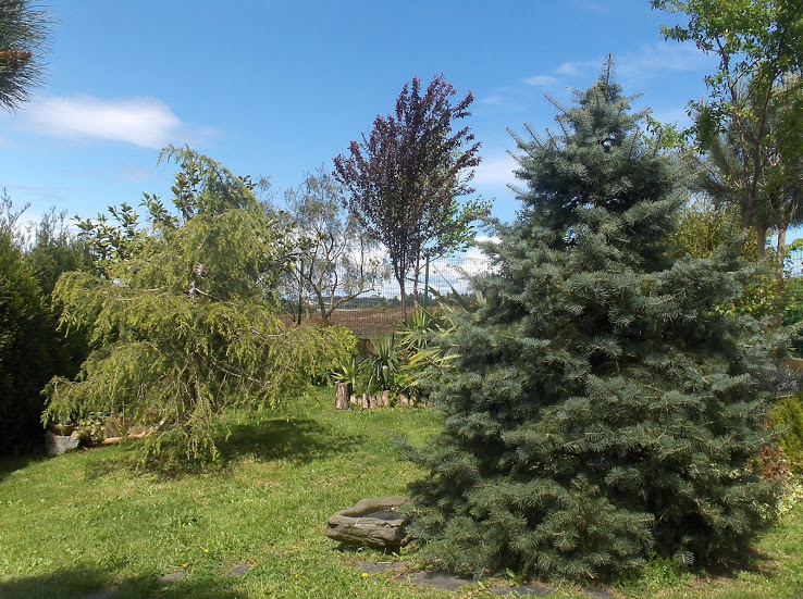 HPIM0588.JPG