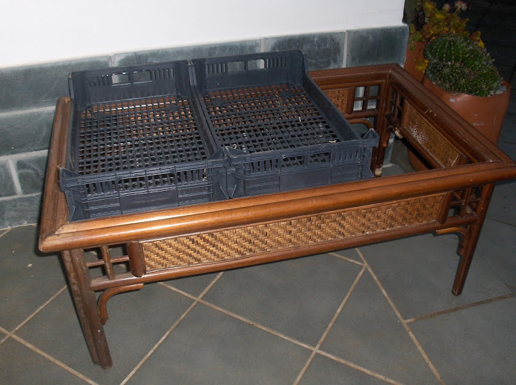 HPIM0612.JPG