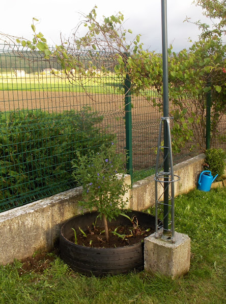 HPIM0690.JPG