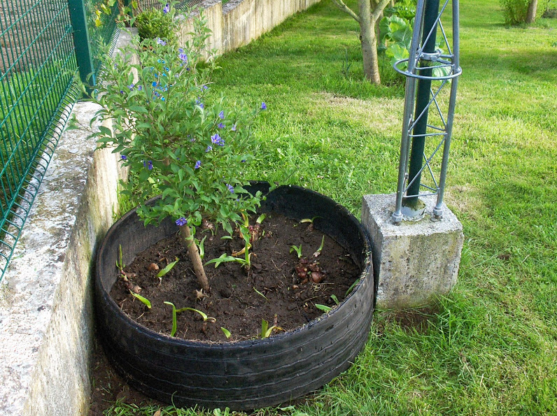 HPIM0691.JPG