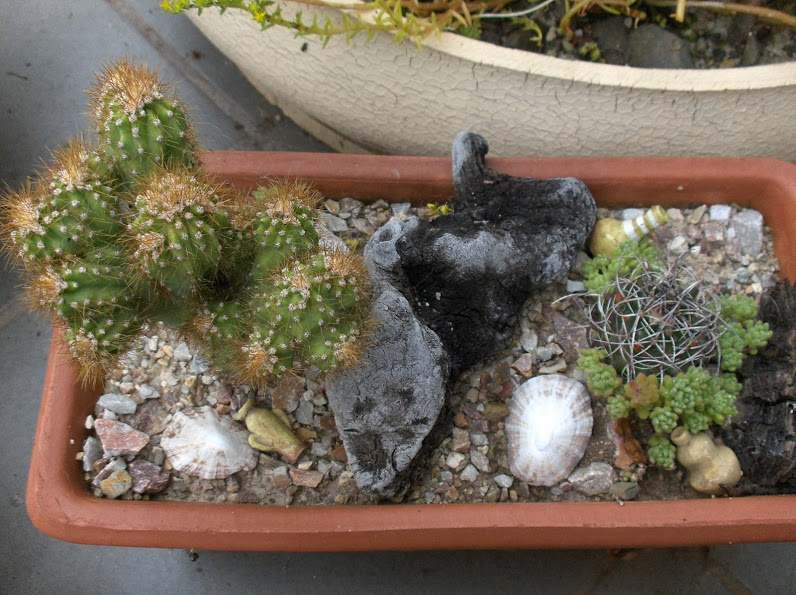 HPIM0707.JPG