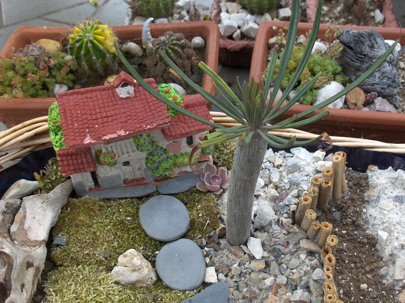 HPIM0708.JPG