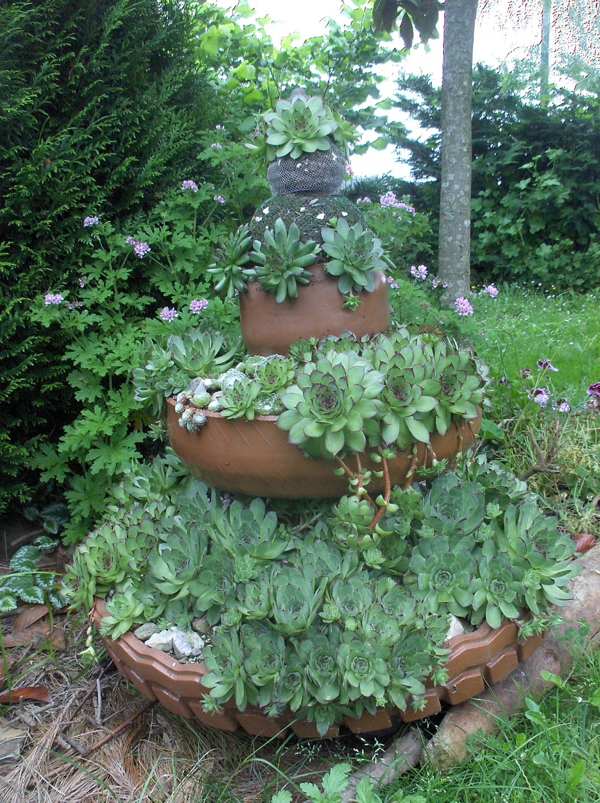 HPIM0722.JPG