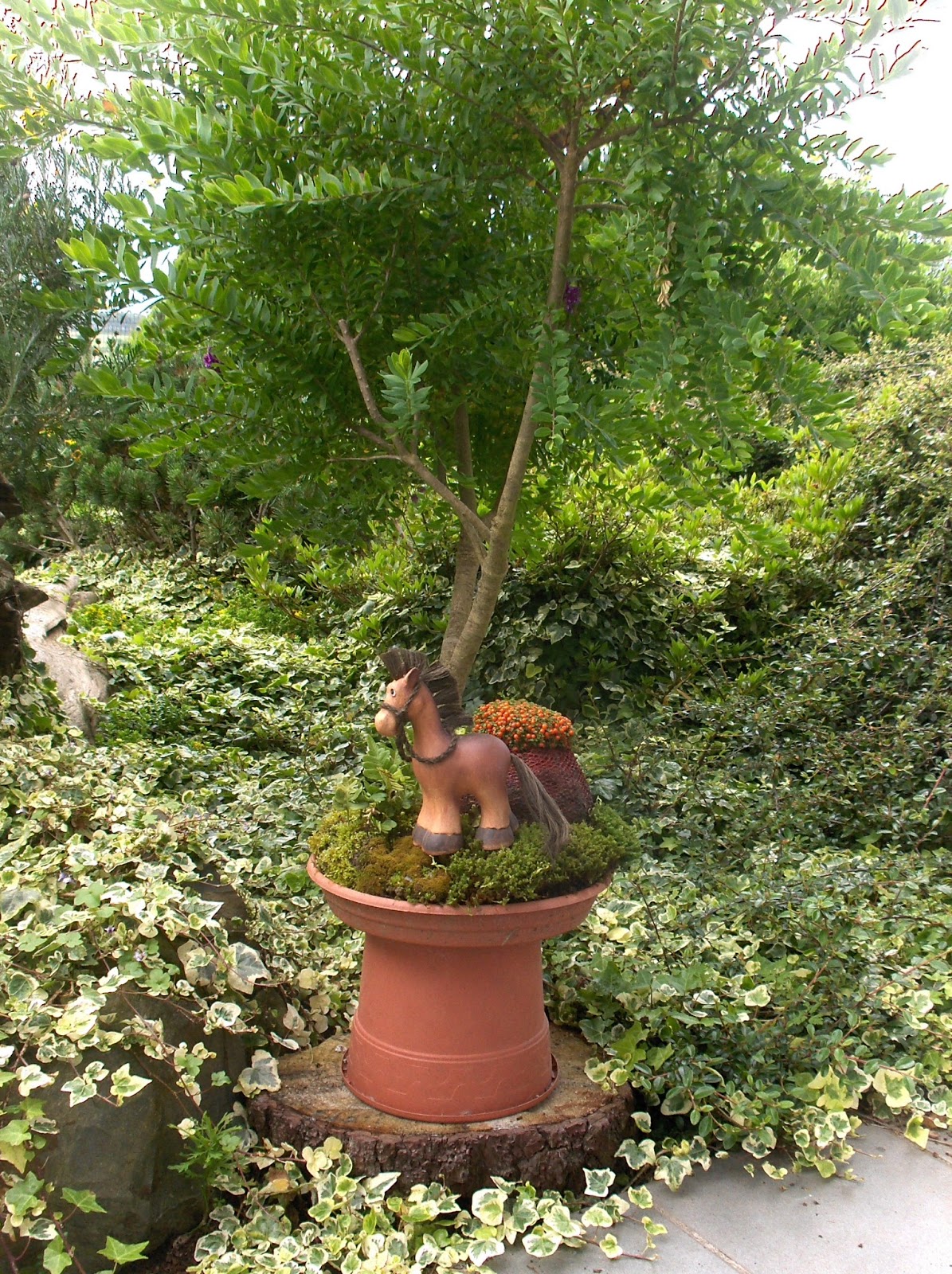 HPIM0728.JPG