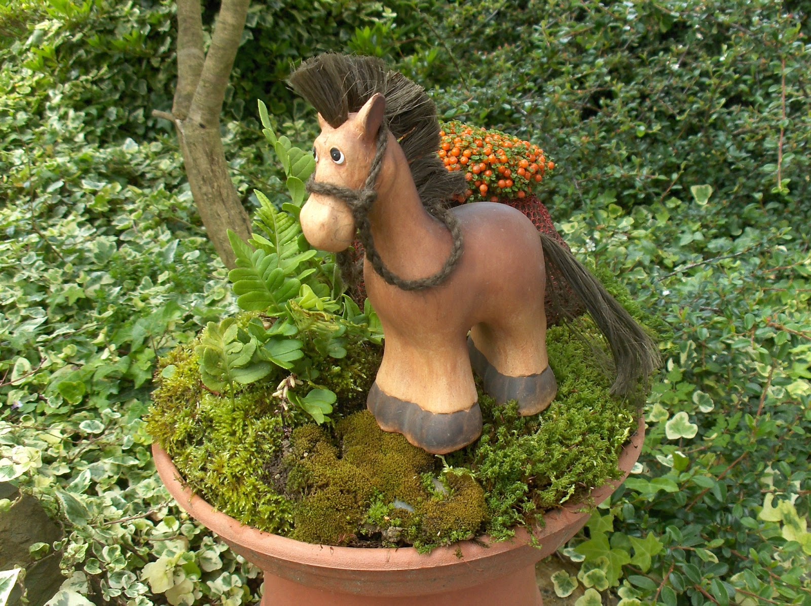 HPIM0729.JPG