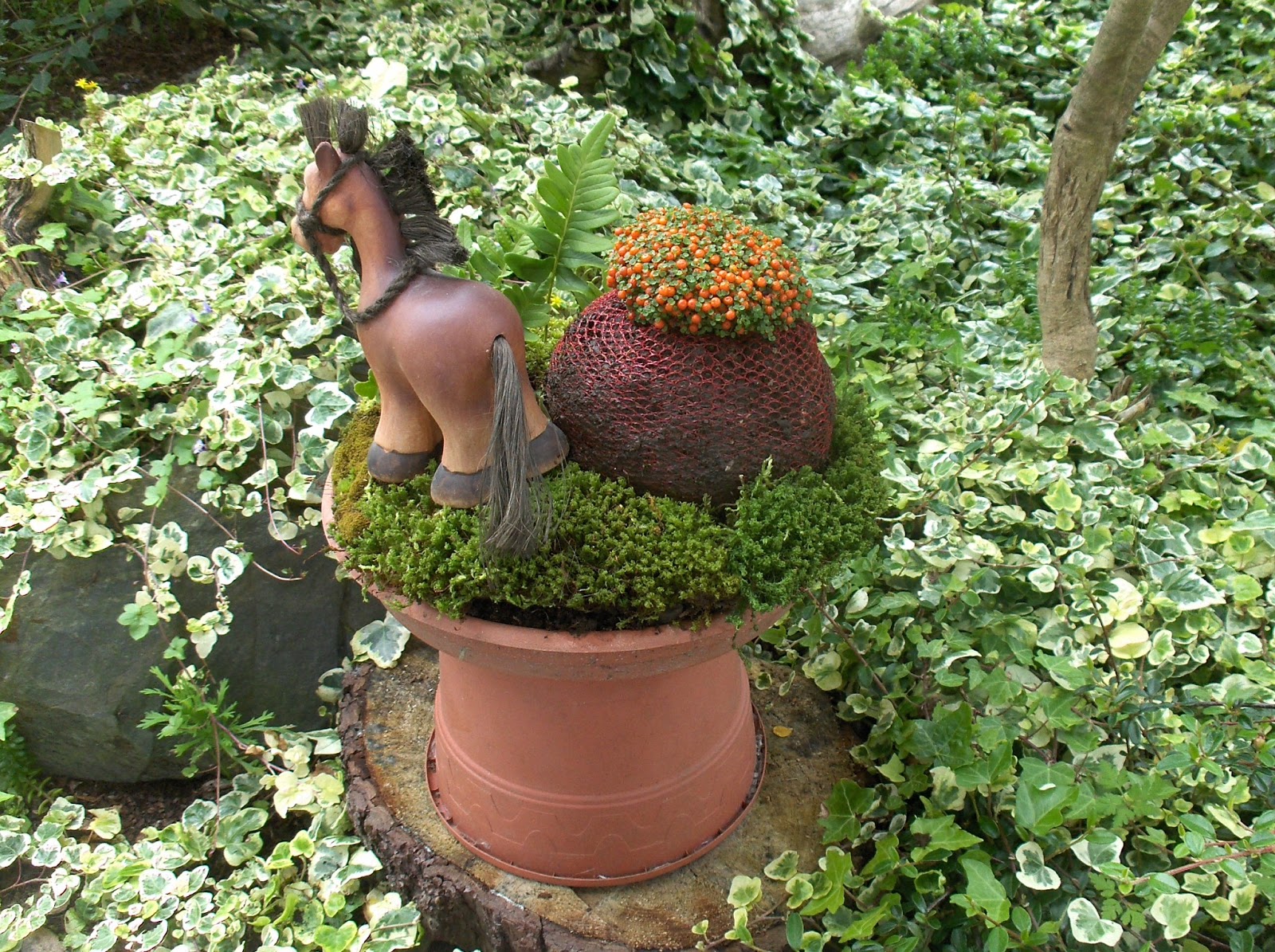 HPIM0731.JPG