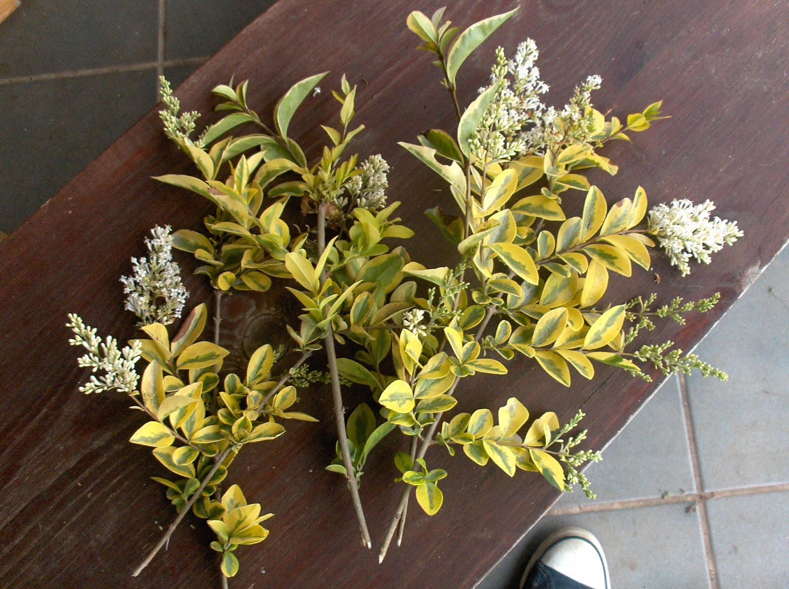 HPIM0781.JPG