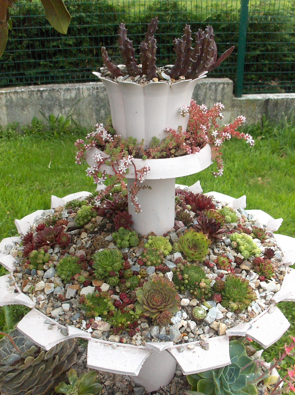 HPIM0782.JPG
