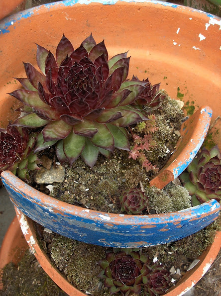 HPIM0790.JPG