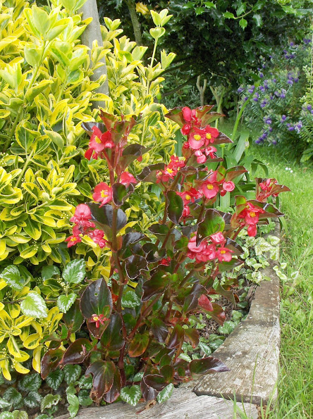 HPIM0798.JPG