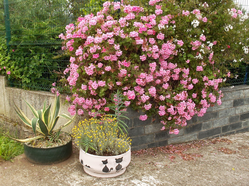HPIM0838.JPG