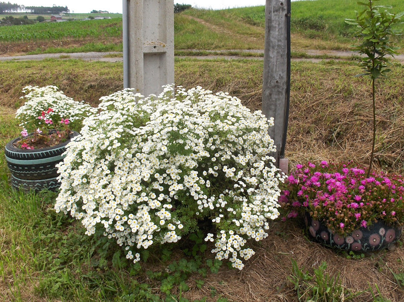 HPIM0839.JPG