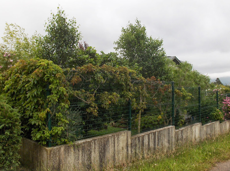HPIM0843.JPG