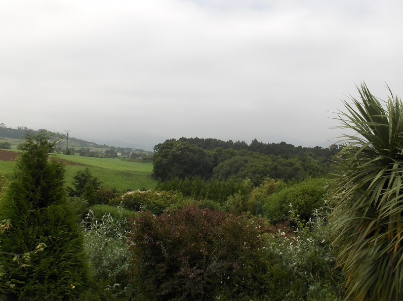 HPIM0861.JPG
