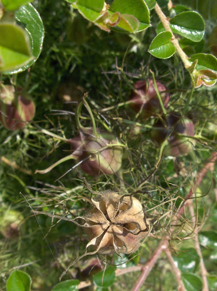 HPIM0908.JPG