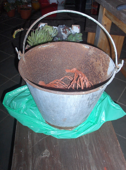HPIM0912.JPG