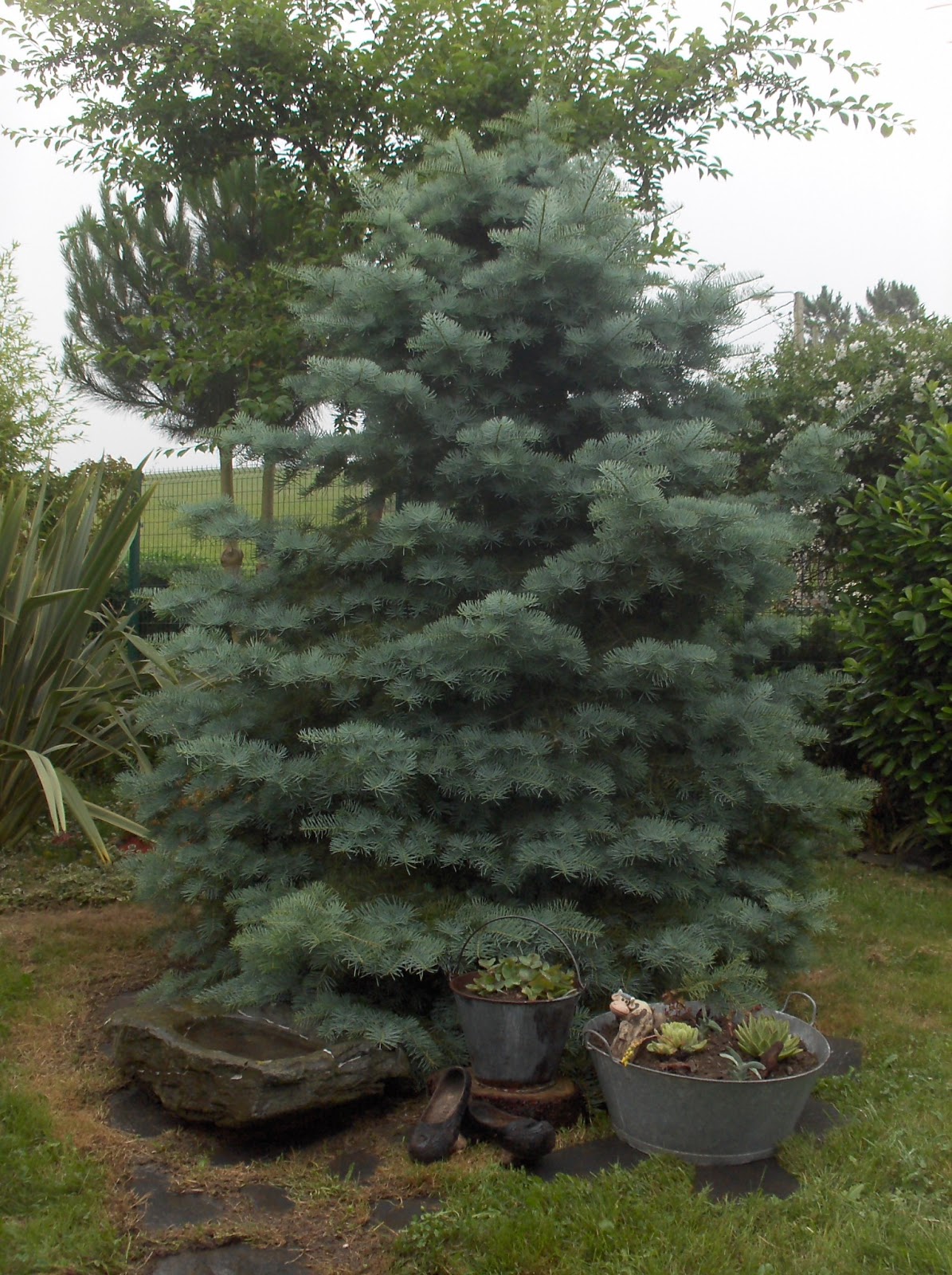 HPIM0922.JPG
