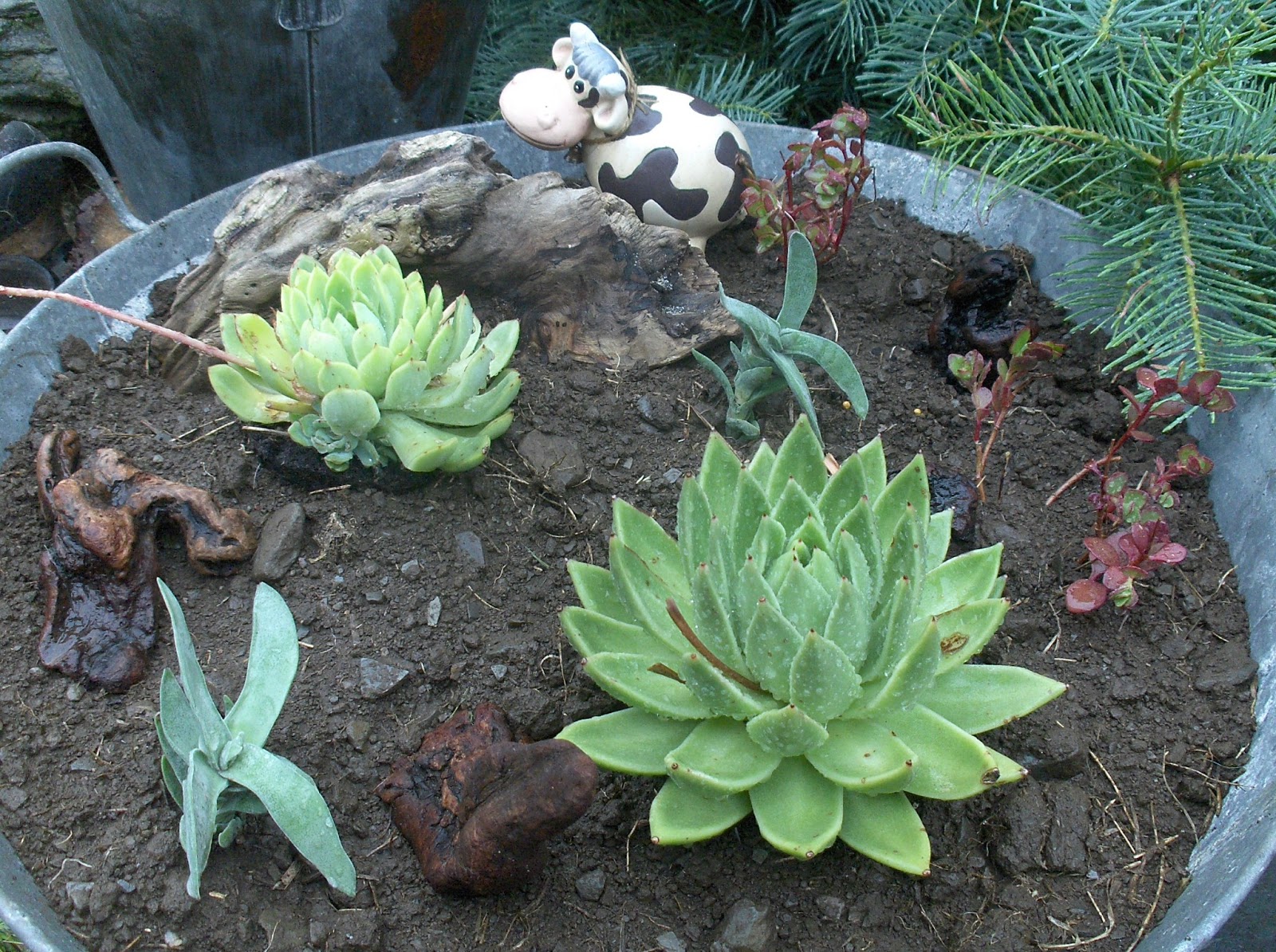 HPIM0929.JPG