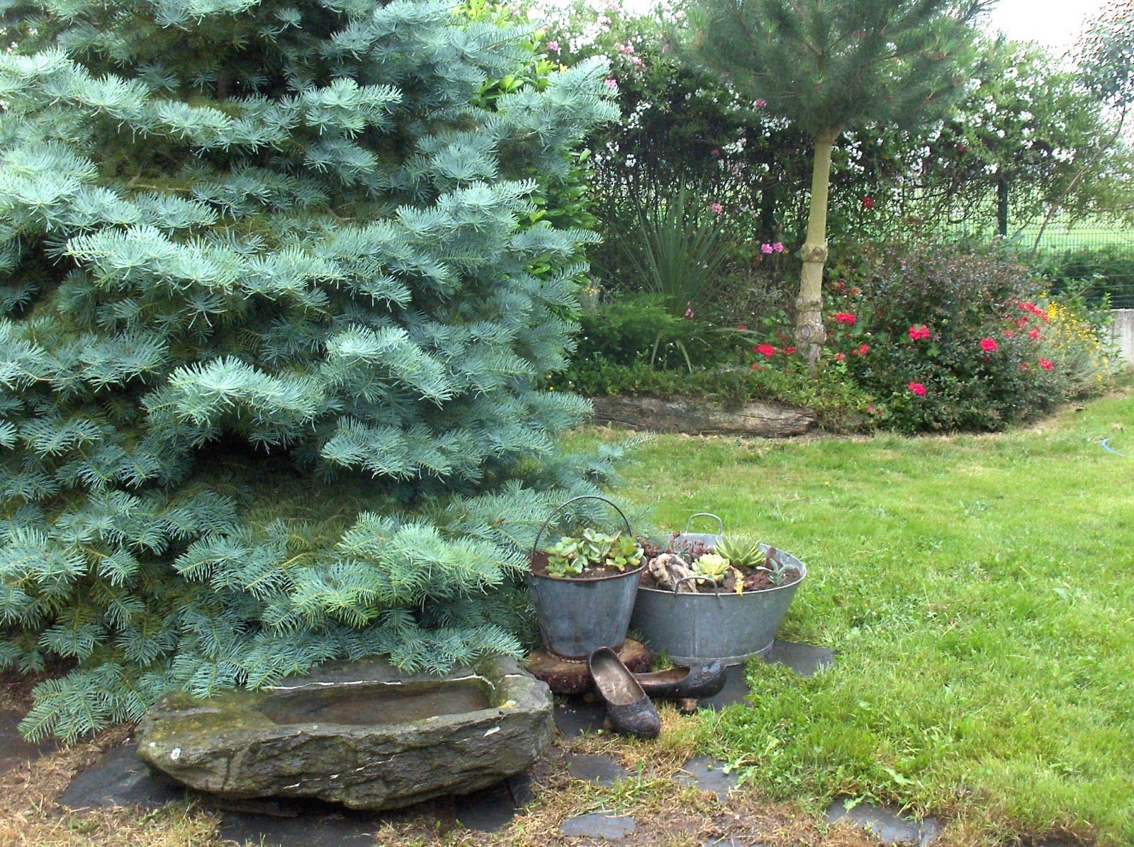 HPIM0930.JPG