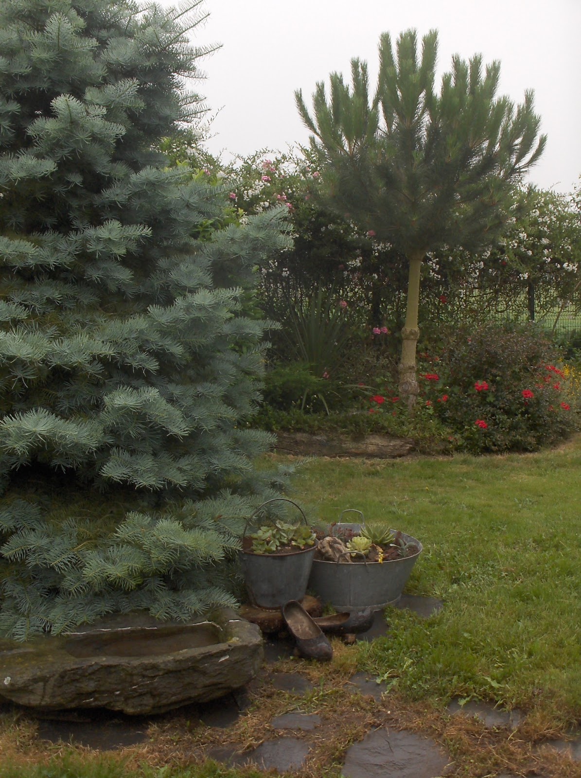 HPIM0931.JPG