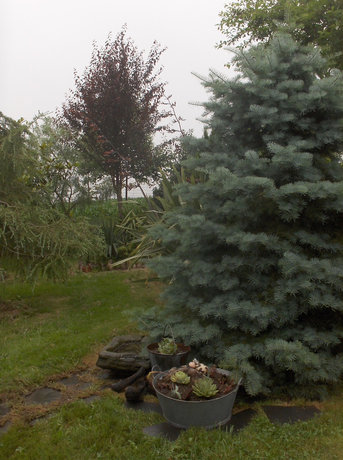 HPIM0932.JPG