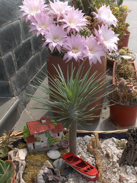 HPIM0934.JPG