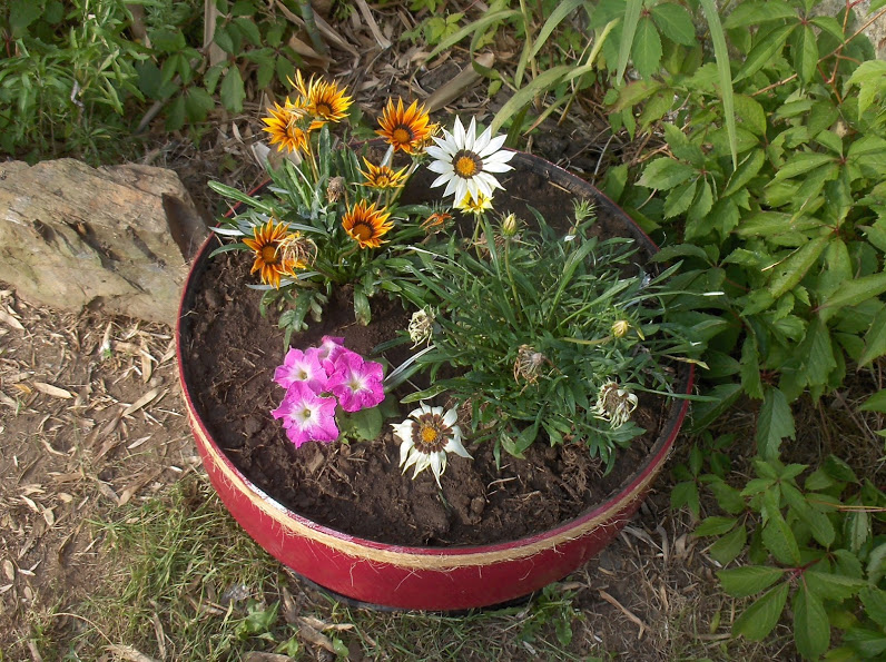 HPIM0972.JPG
