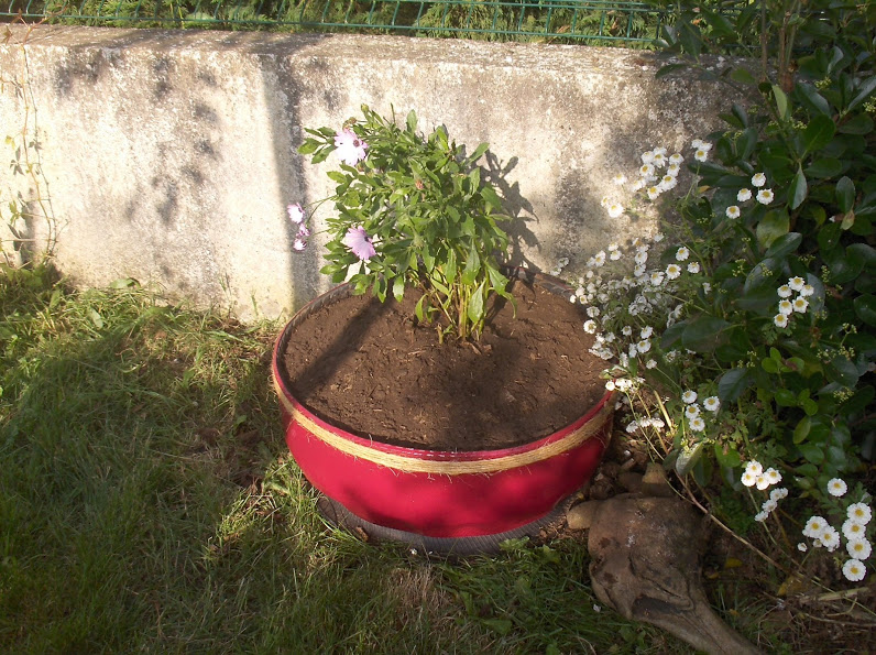 HPIM0973.JPG