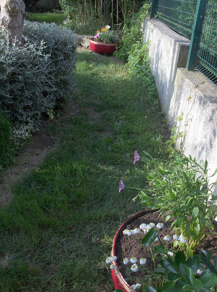 HPIM0974.JPG