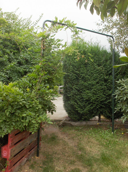 HPIM1211.JPG