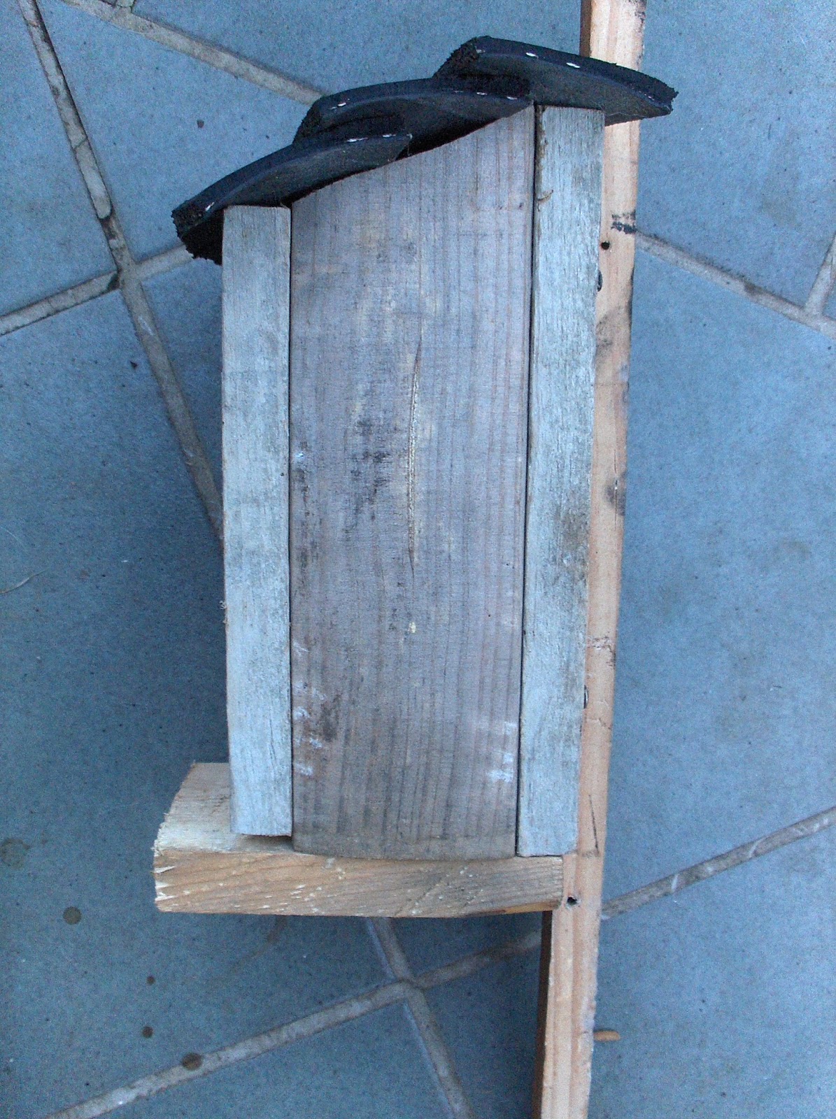 HPIM1259.JPG