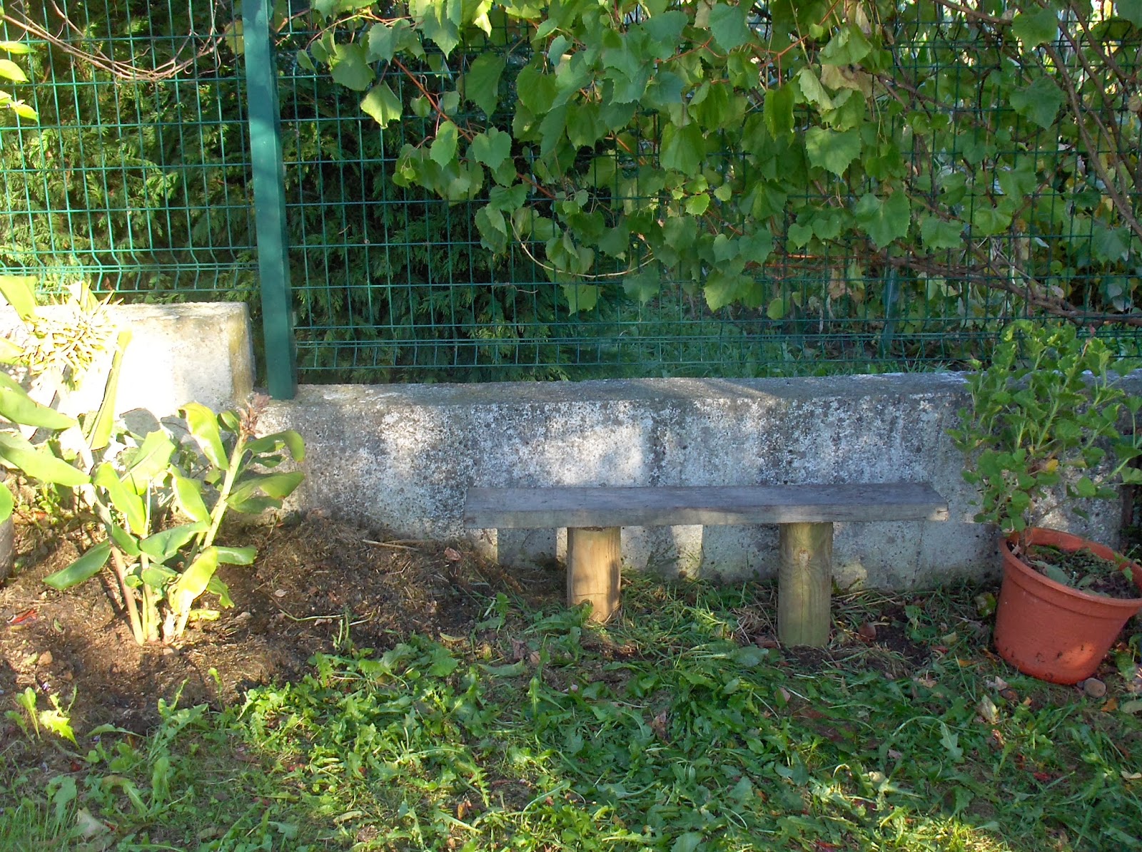HPIM1497.JPG