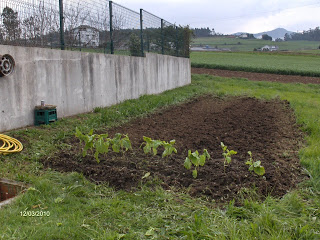 HPIM2881.JPG