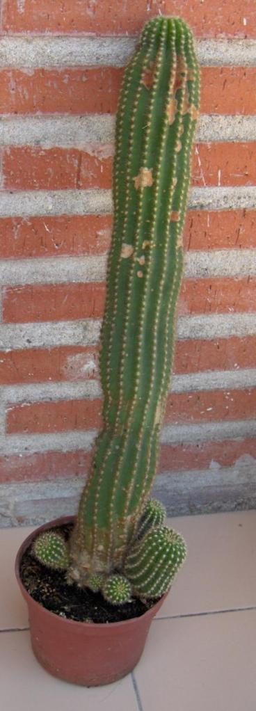HPIM4510.jpg