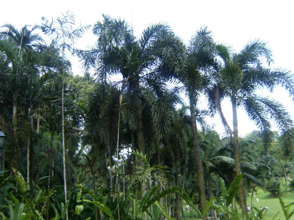 HPIM4991.jpg