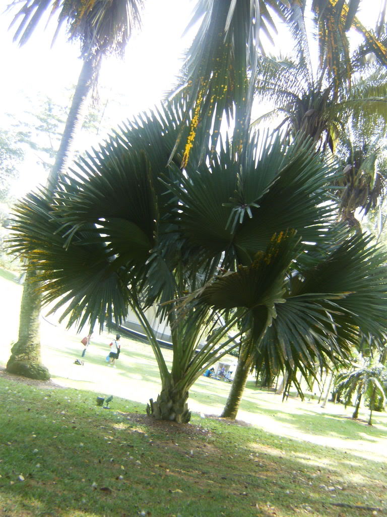 HPIM5023.jpg