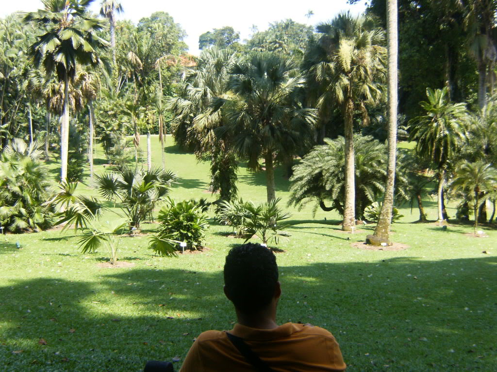 HPIM5054.jpg