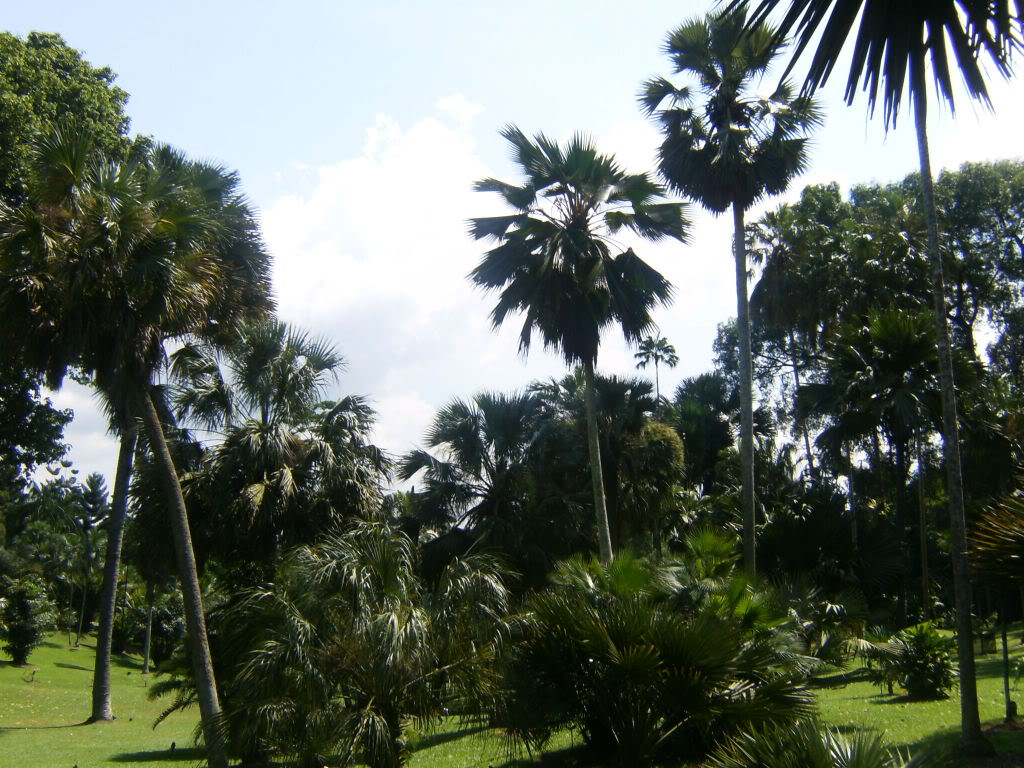 HPIM5070.jpg