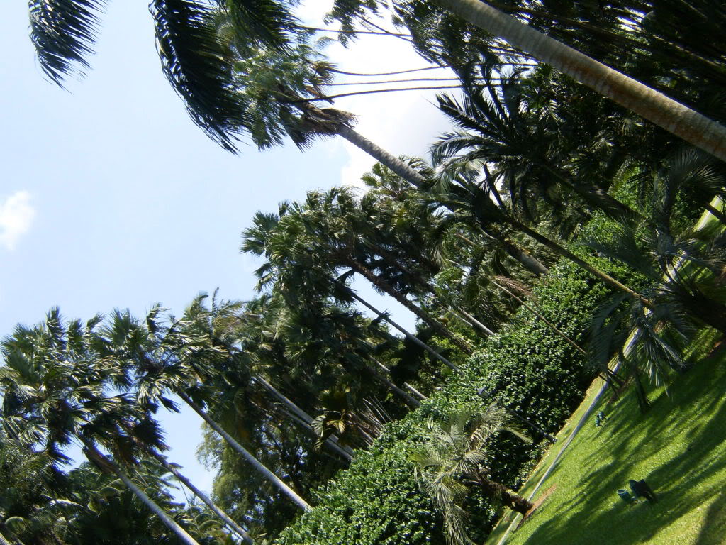 HPIM5090.jpg