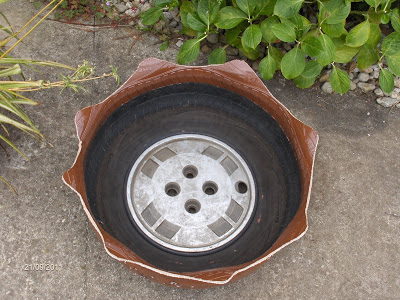 HPIM5251.JPG