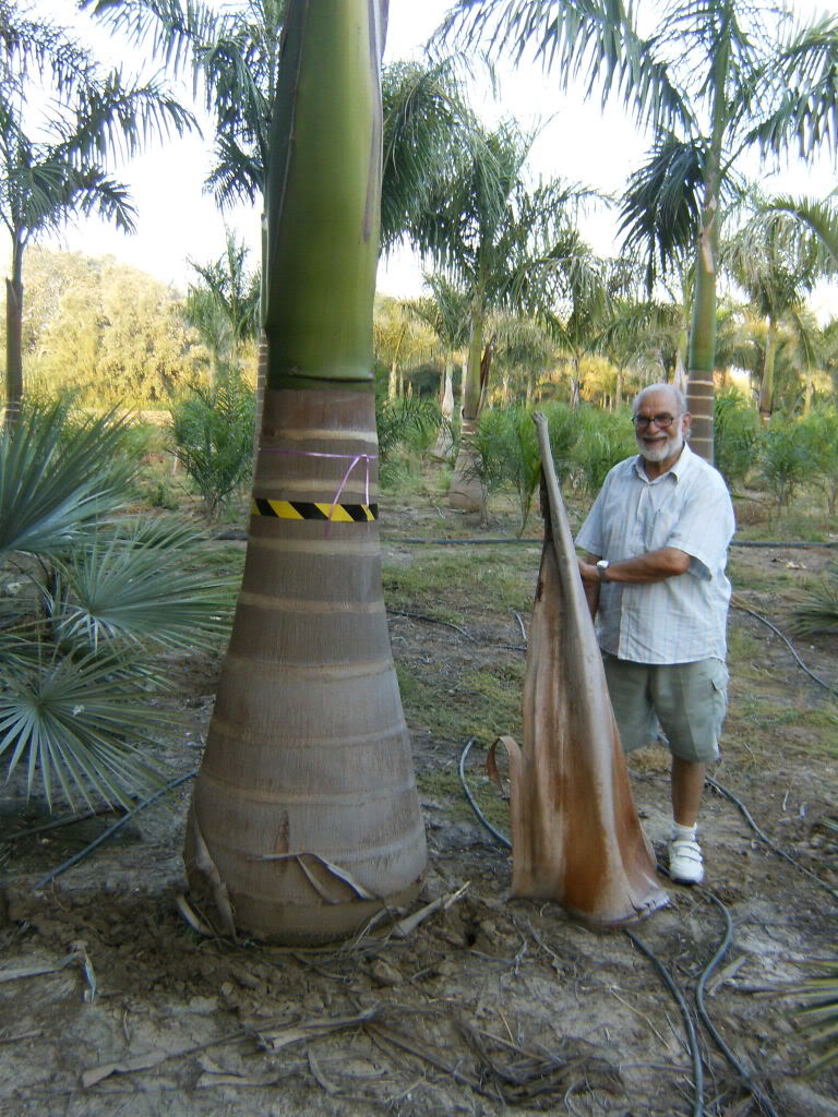 HPIM5287.jpg