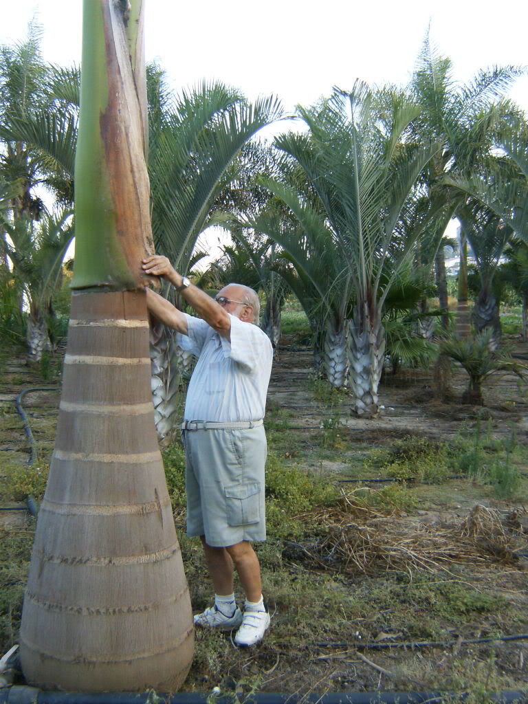 HPIM5295.jpg