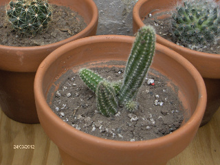 HPIM5881-1.jpg