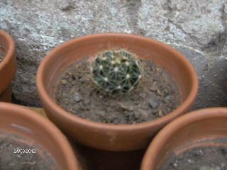 HPIM5891-1.jpg