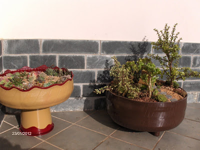 HPIM6088.JPG
