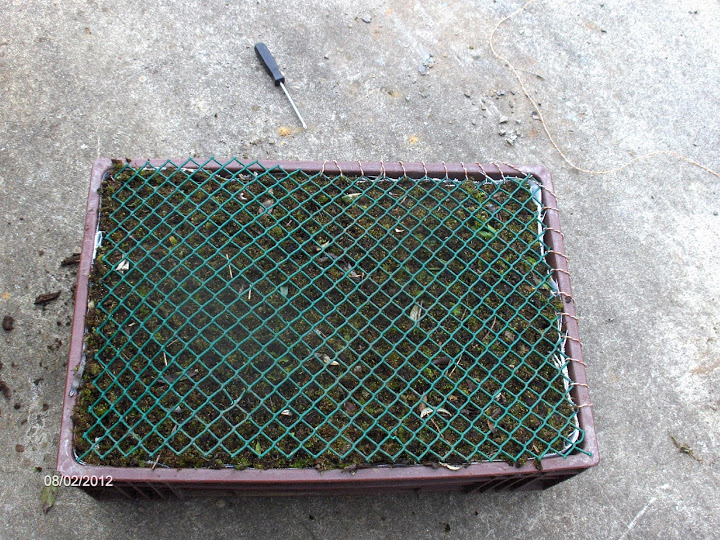 HPIM6278.JPG