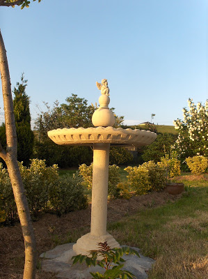 HPIM7877.JPG